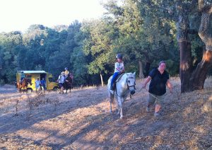Camping auf Sardinien - Pferdehof Morgenstern