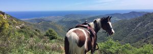 Reiturlaub auf Sardinien - Pferdehof Morgenstern