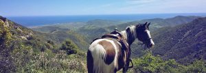 Reiturlaub auf Sardinien - Pferdehof Morgenstern